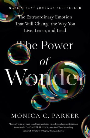 The Power of Wonder Book Cover Picture