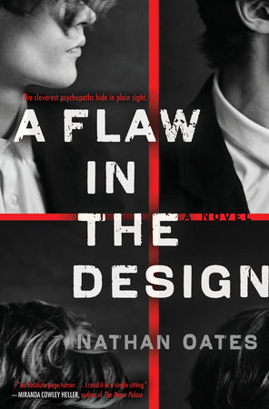 A Flaw in the Design Book Cover Picture