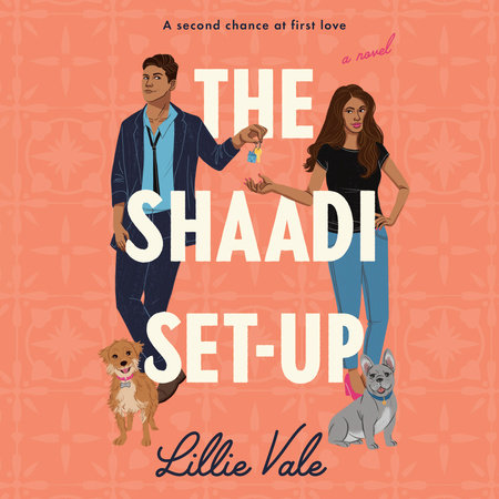 The Shaadi Set-Up by Lillie Vale