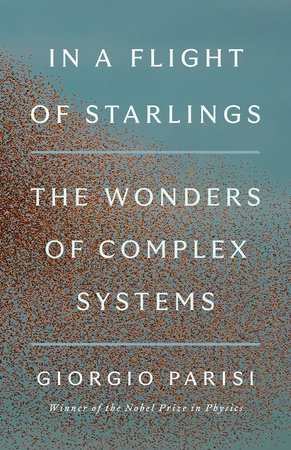 In a Flight of Starlings by Giorgio Parisi