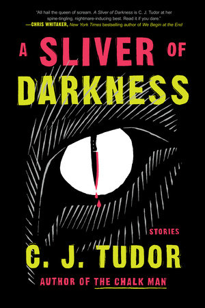 A Sliver of Darkness by C. J. Tudor