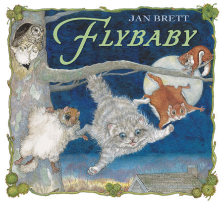 Flybaby by Jan Brett