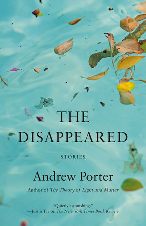 The Disappeared by Andrew Porter