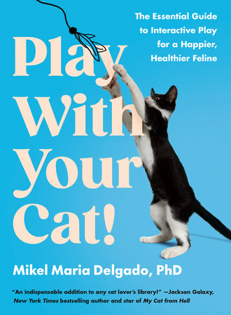 Play With Your Cat! by Mikel Maria Delgado. PhD