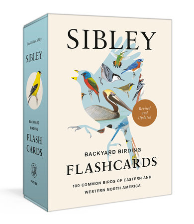 Sibley Backyard Birding Flashcards, Revised and Updated by David Allen Sibley