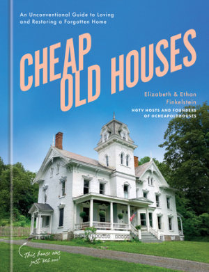 Cheap Old Houses by Elizabeth Finkelstein, Ethan Finkelstein