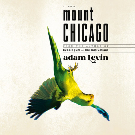 Mount Chicago by Adam Levin