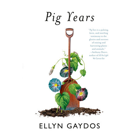 Pig Years by Ellyn Gaydos