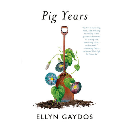 Pig Years [Book]