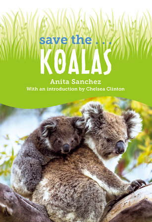 Save the... Koalas by Anita Sanchez and Chelsea Clinton