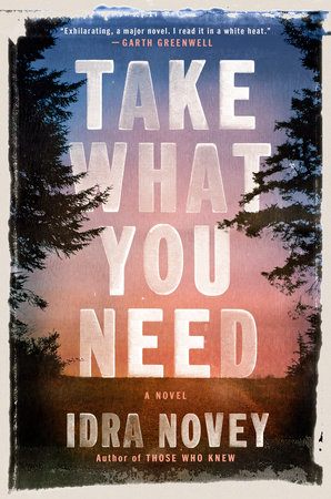 Take What You Need by Idra Novey