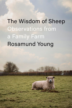 The Secret Life of Cows by Rosamund Young: 9780525557333 |  PenguinRandomHouse.com: Books