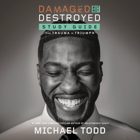 Damaged but Not Destroyed Study Guide by Michael Todd