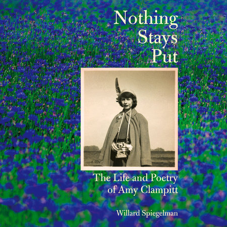 Nothing Stays Put by Willard Spiegelman
