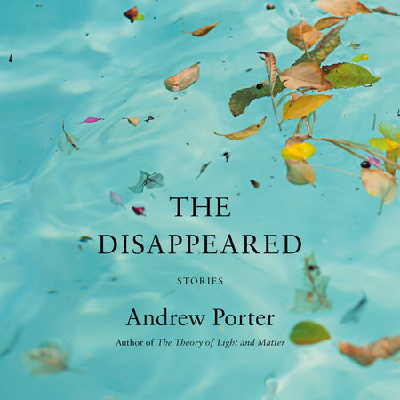 The Disappeared by Andrew Porter