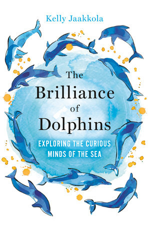 The Brilliance of Dolphins by Kelly Jaakkola