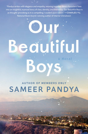 Our Beautiful Boys by Sameer Pandya