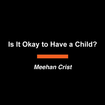 Is It OK to Have a Child? by Meehan Crist
