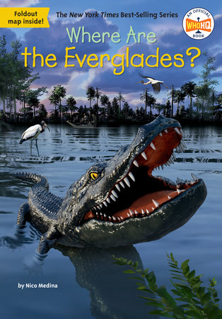 Where Are the Everglades? by Nico Medina and Who HQ