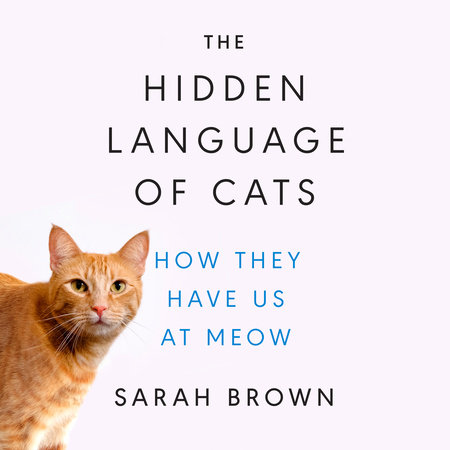 Decoding Cat Behavior