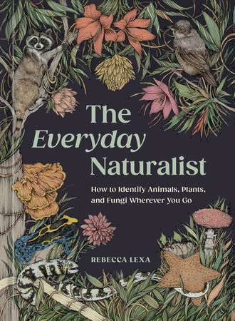 The Everyday Naturalist by Rebecca Lexa