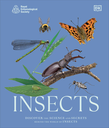 Insects by DK