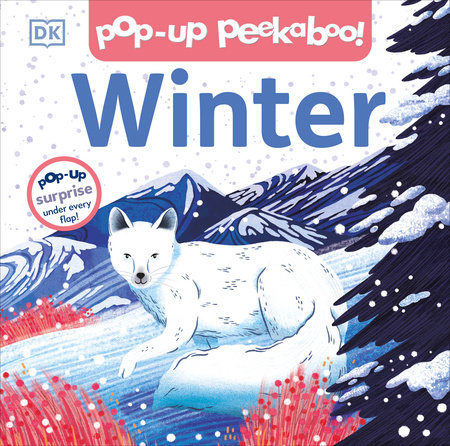 Pop-up Peekaboo! Winter