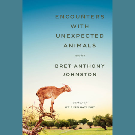 Encounters with Unexpected Animals by Bret Anthony Johnston
