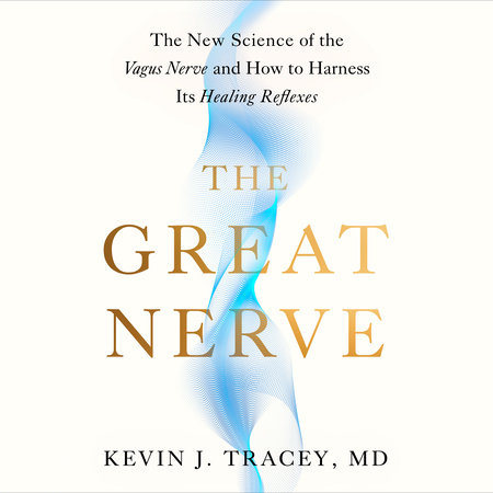 The Great Nerve by Kevin J. Tracey, MD