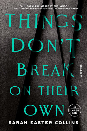 Things Don't Break on Their Own by Sarah Easter Collins