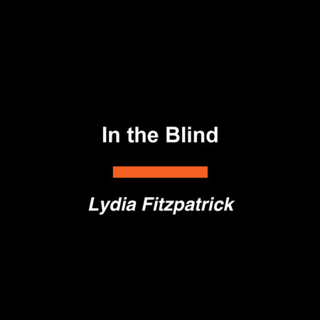 In the Blind by Lydia Fitzpatrick