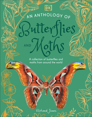 An Anthology of Butterflies and Moths by DK