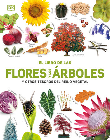El Libro de las flores y los Ã¡rboles (Our World in Pictures: Trees, Leaves, Flowers & Seeds) by DK