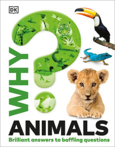 Why? Animals