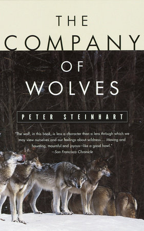 The Company of Wolves by Peter Steinhart