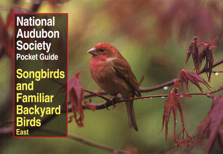 National Audubon Society Pocket Guide to Songbirds and Familiar Backyard Birds: Eastern Region by National Audubon Society