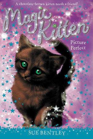 Picture Perfect #13 by Sue Bentley; Illustrated by Angela Swan