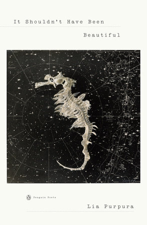 It Shouldn't Have Been Beautiful by Lia Purpura