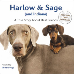 Harlow & Sage (and Indiana)