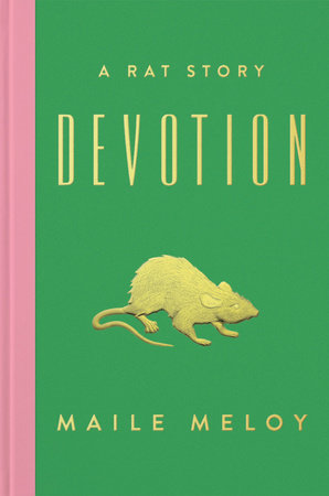 Devotion by Maile Meloy