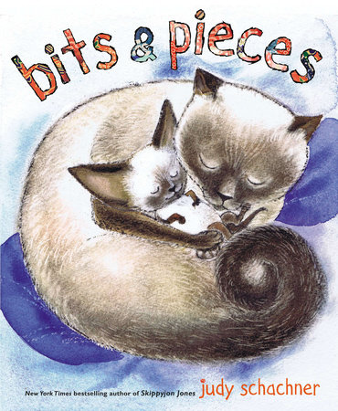 Bits & Pieces by Judy Schachner