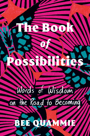 The Book of Possibilities by Bee Quammie