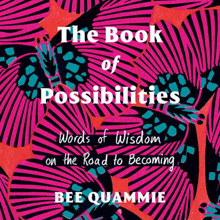 The Book of Possibilities by Bee Quammie