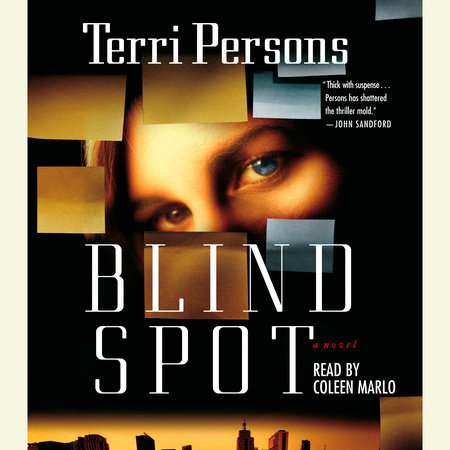 Blind Spot by Terri Persons