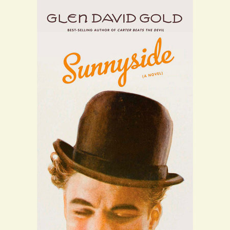 Sunnyside by Glen David Gold