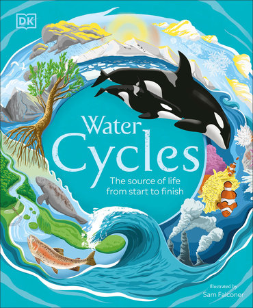 Water Cycles by Sam Falconer