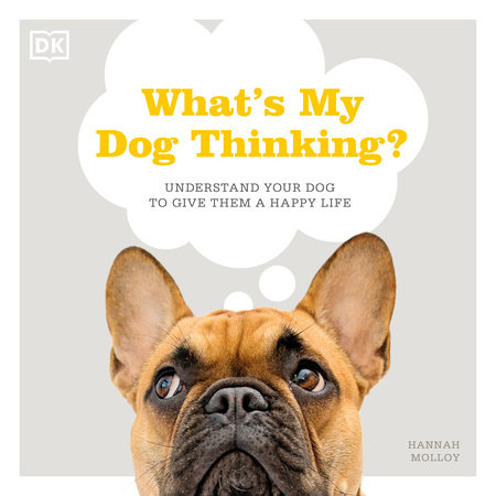 What's My Dog Thinking? by Hannah Molloy