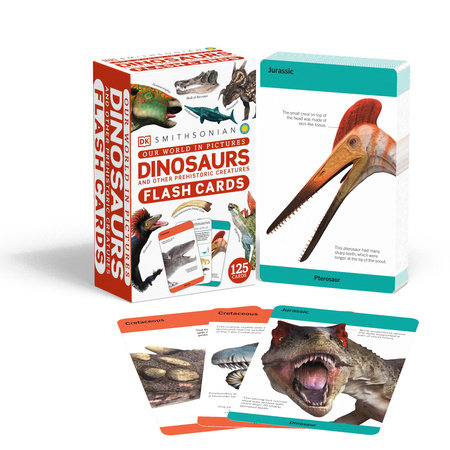 Our World in Pictures Dinosaurs and Other Prehistoric Creatures Flash Cards by DK