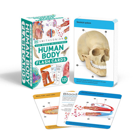 Our World in Pictures Human Body Flash Cards by DK