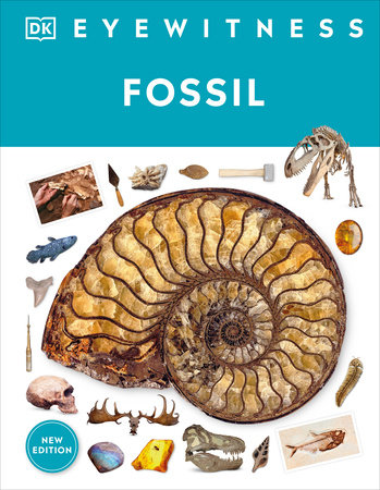 Eyewitness Fossil by Paul David Taylor